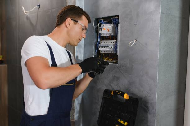 Best Electric Panel Repair  in Guttenberg, IA