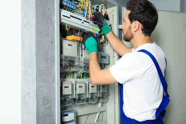 Best Ceiling Fan Installation Electrician  in Guttenberg, IA